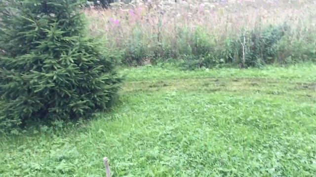 Мини трактор для домашнего хозяйства Митракс Т10 смотреть онлайн