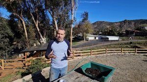 Winter Sowing! Seed Starting the EASY & CHEAP Way. 🌱 ❄️🌱❄️🌱