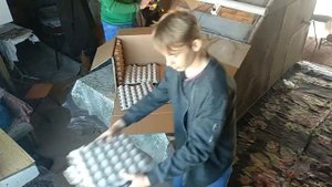 звукопоглощающие панели своими руками из яичных лотков DIY