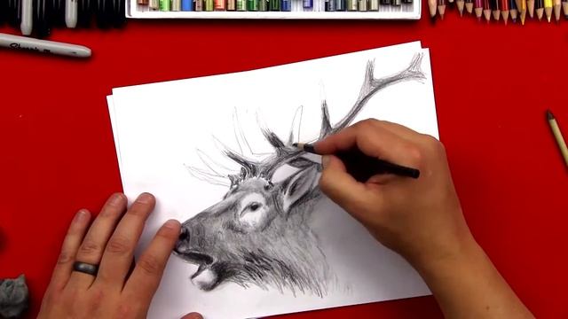 Daily Sketch Challenge 017: Elk (45 min) смотреть онлайн
