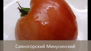 Новое поступление семян минусинских томатов