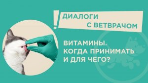 Витамины для кошек и собак. Когда принимать и для чего?