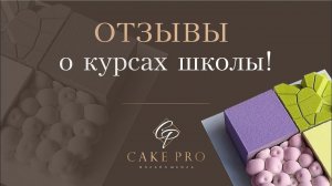 Отзыв о курсах Cake Pro