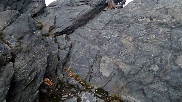 Гора Караульная в Первоуральске и ее окрестности