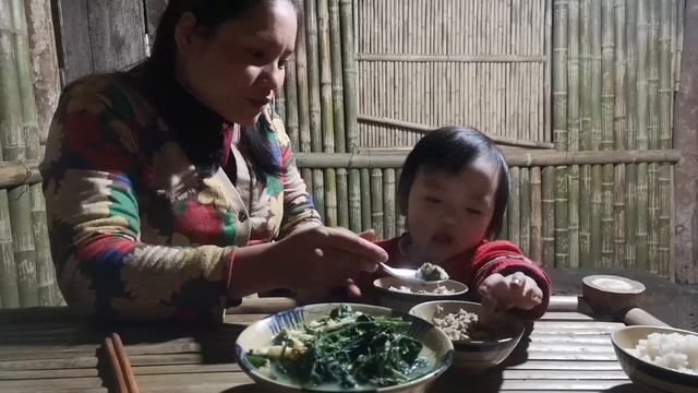 Single mom harvesting wild vegetables to sell, Gardening, Growing ginger and turmeric смотреть онлайн