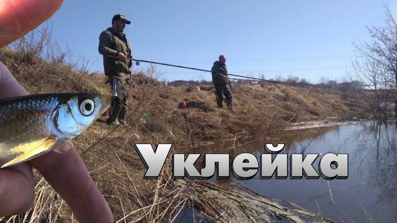 РАДИ ЭТОЙ РЫБЫ СТОИЛО ИДТИ НА РЫБАЛКУ.Ловля весенней вкусной уклейки