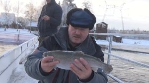 Форелевая рыбалка в "ТРЕХ ПЕСКАРЯХ" !!!