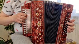 "Банкетка гармонистов" Воронцов Алексей