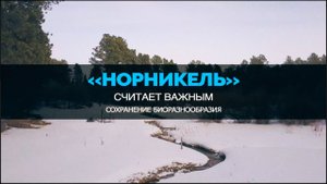 «Норникель» осознает важность сохранения биоразнообразия