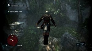 Это ЗАДАНИЕ по НАХОЖДЕНИЮ Джеймса Кидда и правда ТАКОЕ СЛОЖНОЕ? | ASSASSIN'S CREED: BLACK FLAG