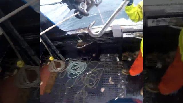 White Belly Keepa's смотреть онлайн