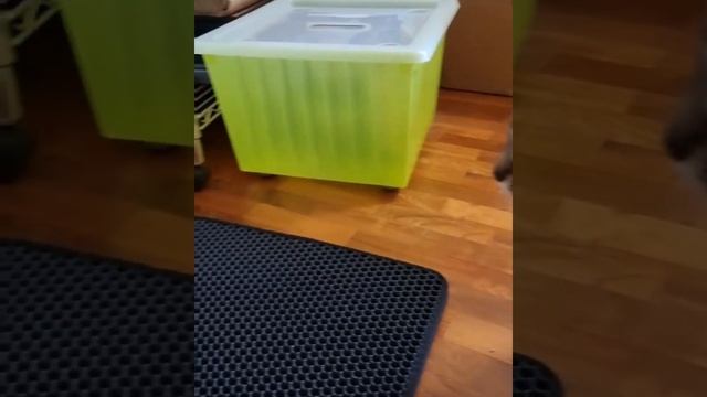 PETREE // Automatic Self-Cleaning Cat Litter Box (2021 WIFI Model) смотреть онлайн