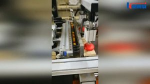 Сверлильно-присадочный станок Filato FL-11A Plus | Сверление сквозных отверстий