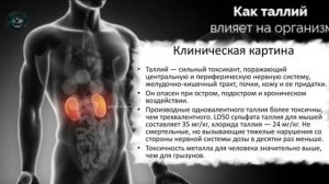 Талий опасный ЯД. Факты о Талии. В чем опасность Талия?