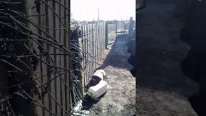 Навозоразбрасыватель. Самодельный обзоор