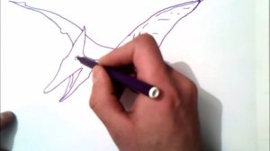 как рисовать птеродактиля