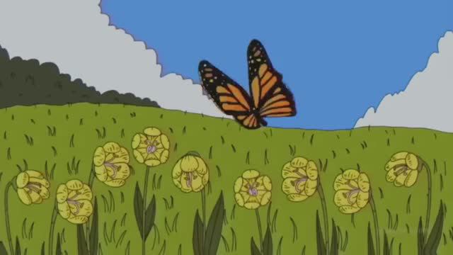 Ｔｈｅ ｇｉｒｌ ｎｅｘｔ ｄｏｏｒ 女の子 смотреть онлайн