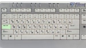 Основные клавиши клавиатуры и виды клавиатур