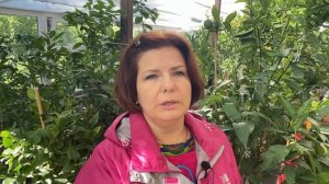 Домик для цитрусов, обработка????