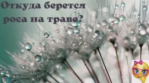 Откуда берётся роса на траве_.mp4