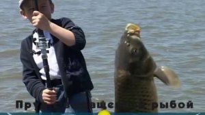 рыбалка в Волгодонске