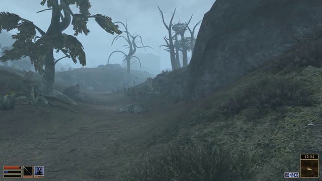 The Elder Scrolls III: Morrowind - #11 Лучший торговец.
