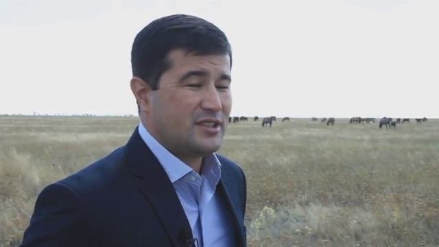 Агросектор. Коневодство в Казахстане