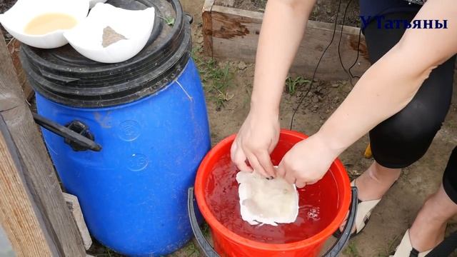 Моя ТЕПЛИЦА на конец ИЮНЯ!!! Лучшее СРЕДСТВО от паутинного клеща! смотреть онлайн