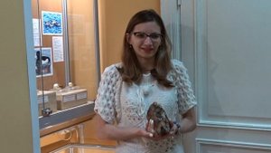 Зуб мамонта в Омском музее просвещения. 075