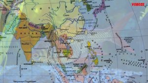 БАРБУСЫ ВИДЫ все части видео про барбусов