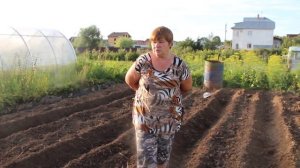 2 урожая за 1 лето? Это возможно!