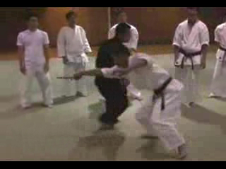 БОЕВОЕ ИСКУССТВО "Ryufankai"