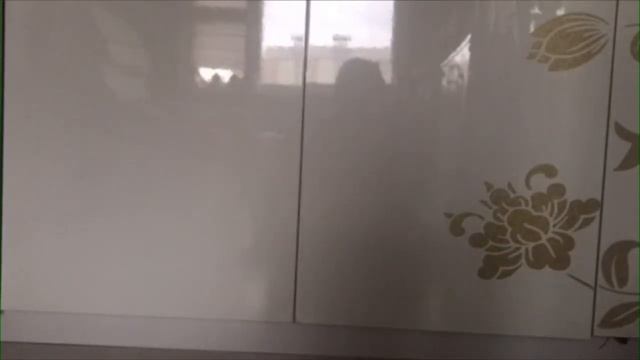 Дрессировка йоркширского терьера