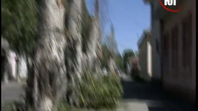 Тополя засохли из за «американцев» смотреть онлайн