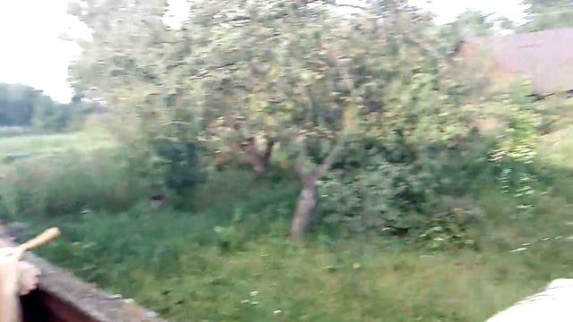 Батуринская дудка смотреть онлайн