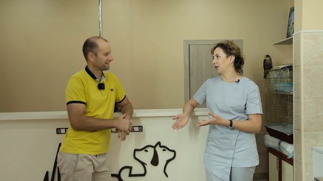 Великий Начинатор | Ветеринарная клиника смотреть онлайн