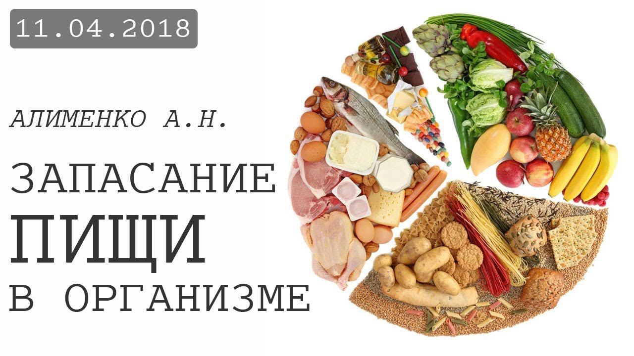Запасание пищи в организме. Алименко А.Н. (11.04.2018) смотреть онлайн