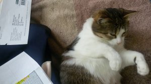 #Вышивка Рукодельный влог 29 апреля - 6 мая 2019