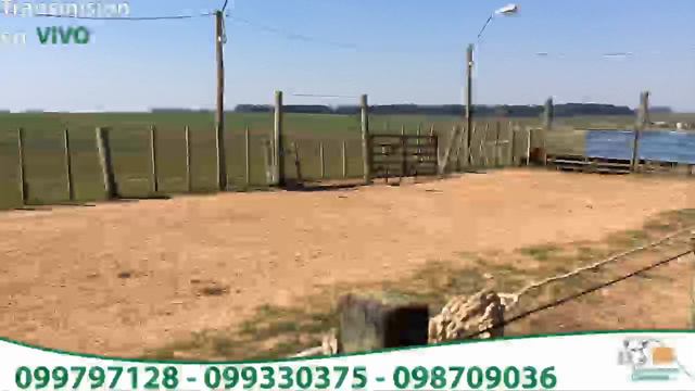 Local Caraguatá - Agroservicios Caraguatá смотреть онлайн