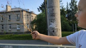 2021 ж/д станция Стрельна и переезд