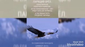 Мехрож Шодиев Умур йулагида