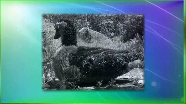 Красивый ландшафт Ландшафтный дизайн участка смотреть онлайн