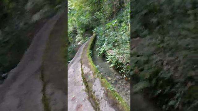 Прогулка по Черниговке, Абхазия. 1.1 смотреть онлайн