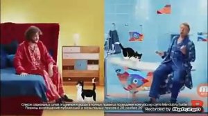 Киркоров vs Басков за феликс кота реклама?