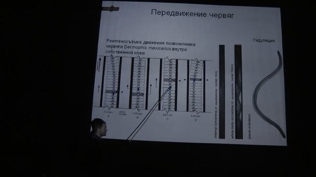 Как амфибии заботятся о своем потомстве. Часть 1. Шахпоронов В. В. 29.12.2014 edit смотреть онлайн