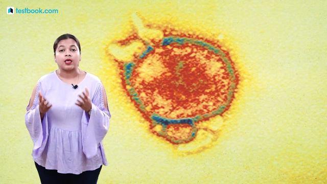 Nipah Virus - 2 Minute Wiki for SSC, RRB & SBI by Testbook.com