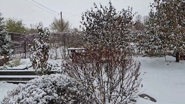 Сад зимой. Первый снег в "Сказка в избушке ". смотреть онлайн