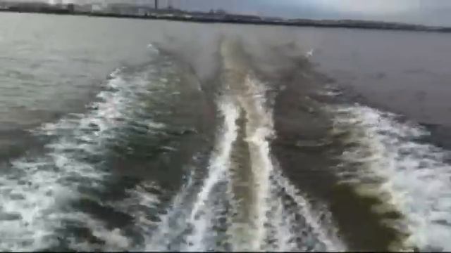 2001 Bayliner 2455 Ciera или 245 с синей подсветкой смотреть онлайн