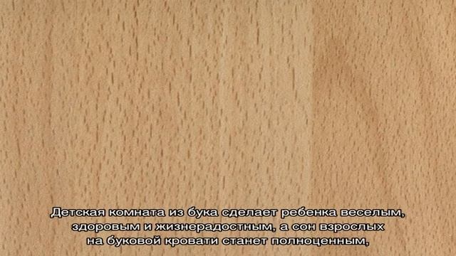 Мебель из бука в интерьере (50 фото): красивые варианты и сочетания