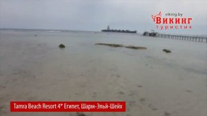 Tamra Beach Resort 4* (Тамра бич резорт 4) Египет, Шарм-Эль-Шейх, Март 2017.